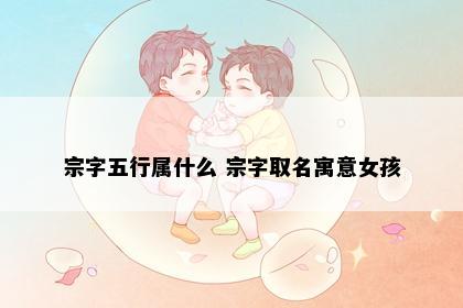 宗字五行属什么 宗字取名寓意女孩