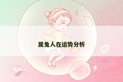 属兔人在运势分析