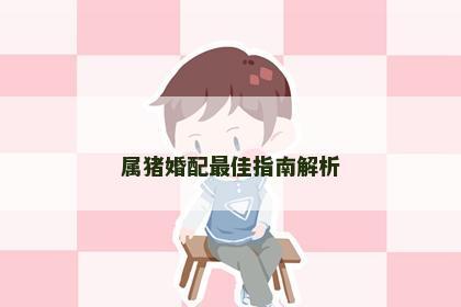 属猪婚配最佳指南解析