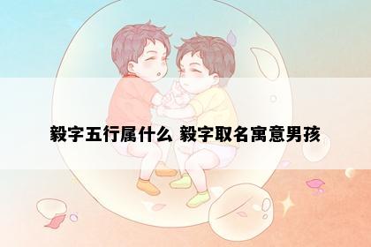 毅字五行属什么 毅字取名寓意男孩