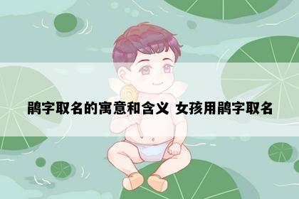 鹃字取名的寓意和含义 女孩用鹃字取名