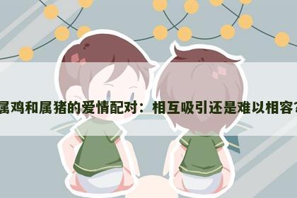 属鸡和属猪的爱情配对：相互吸引还是难以相容？