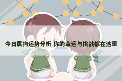 今日属狗运势分析 你的幸运与挑战都在这里