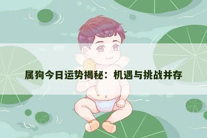 属狗今日运势揭秘：机遇与挑战并存