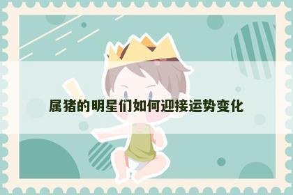 属猪的明星们如何迎接运势变化