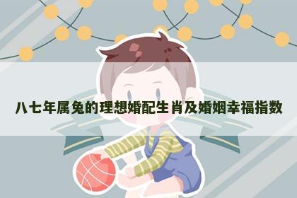 八七年属兔的理想婚配生肖及婚姻幸福指数