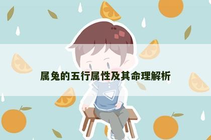 属兔的五行属性及其命理解析