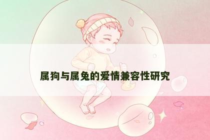 属狗与属兔的爱情兼容性研究