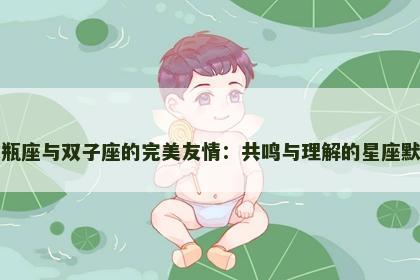 水瓶座与双子座的完美友情：共鸣与理解的星座默契