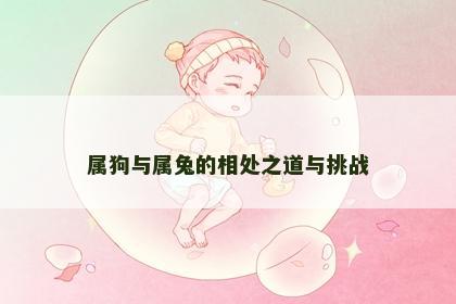 属狗与属兔的相处之道与挑战