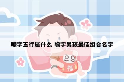 瞻字五行属什么 瞻字男孩最佳组合名字