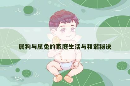 属狗与属兔的家庭生活与和谐秘诀
