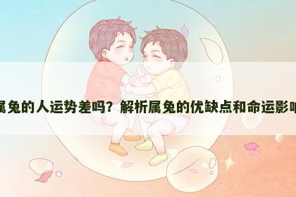 属兔的人运势差吗？解析属兔的优缺点和命运影响