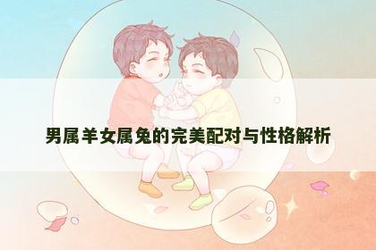男属羊女属兔的完美配对与性格解析