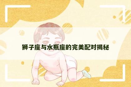 狮子座与水瓶座的完美配对揭秘