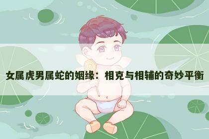 女属虎男属蛇的姻缘：相克与相辅的奇妙平衡