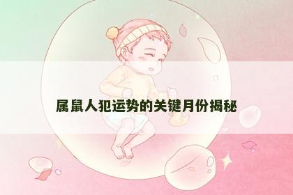 属鼠人犯运势的关键月份揭秘