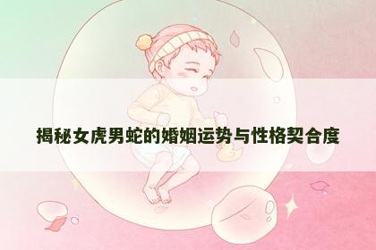揭秘女虎男蛇的婚姻运势与性格契合度