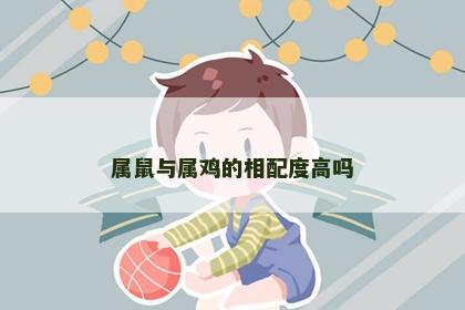 属鼠与属鸡的相配度高吗