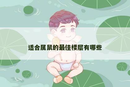 适合属鼠的最佳楼层有哪些
