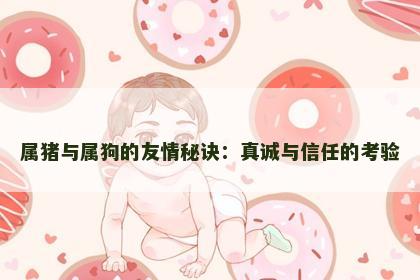 属猪与属狗的友情秘诀：真诚与信任的考验