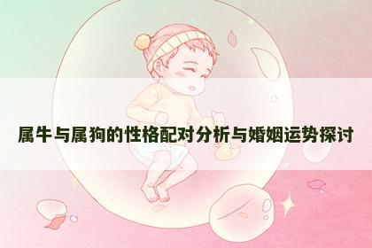 属牛与属狗的性格配对分析与婚姻运势探讨