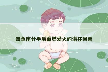 双鱼座分手后重燃爱火的潜在因素