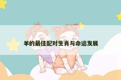 羊的最佳配对生肖与命运发展