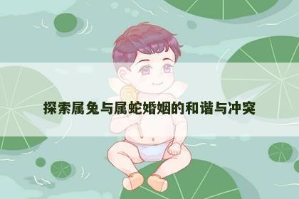探索属兔与属蛇婚姻的和谐与冲突