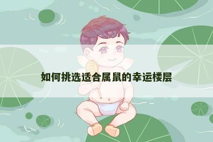 如何挑选适合属鼠的幸运楼层
