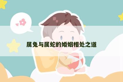 属兔与属蛇的婚姻相处之道