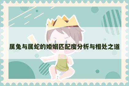 属兔与属蛇的婚姻匹配度分析与相处之道