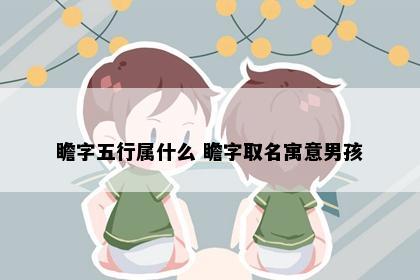 瞻字五行属什么 瞻字取名寓意男孩