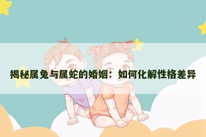 揭秘属兔与属蛇的婚姻：如何化解性格差异
