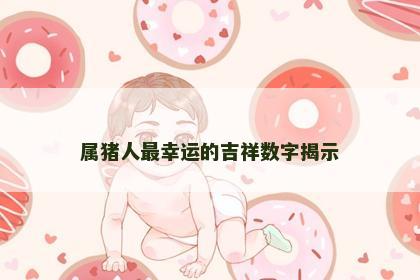属猪人最幸运的吉祥数字揭示