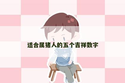 适合属猪人的五个吉祥数字