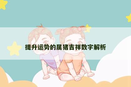 提升运势的属猪吉祥数字解析