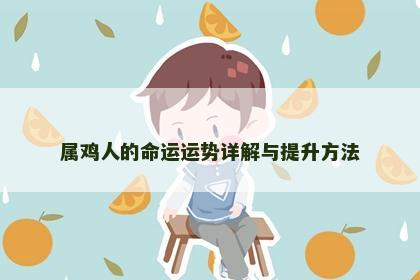 属鸡人的命运运势详解与提升方法