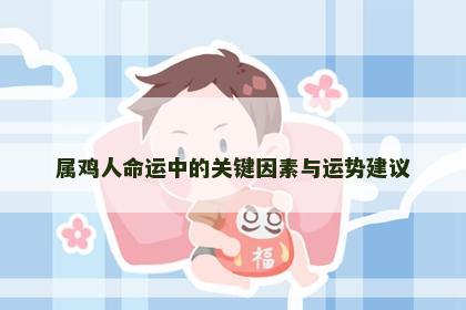 属鸡人命运中的关键因素与运势建议