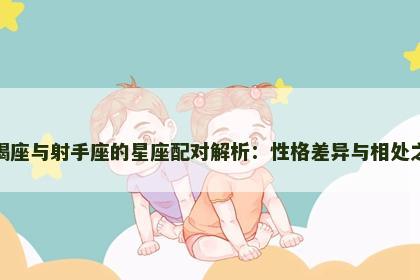 摩羯座与射手座的星座配对解析：性格差异与相处之道
