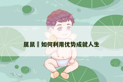 属鼠玥如何利用优势成就人生