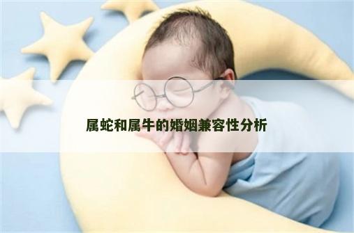 属蛇和属牛的婚姻兼容性分析