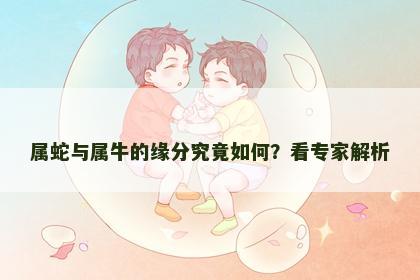 属蛇与属牛的缘分究竟如何？看专家解析