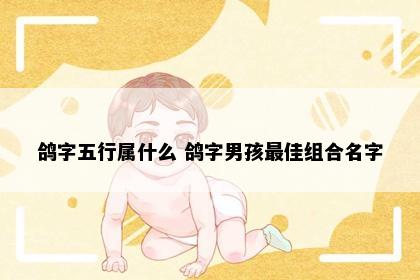 鸽字五行属什么 鸽字男孩最佳组合名字