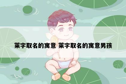 莱字取名的寓意 莱字取名的寓意男孩