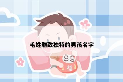 毛姓雅致独特的男孩名字
