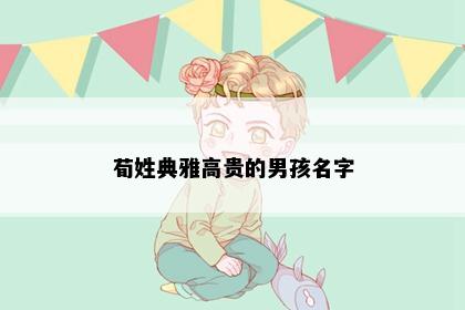 荀姓典雅高贵的男孩名字