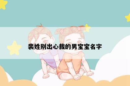 裴姓别出心裁的男宝宝名字