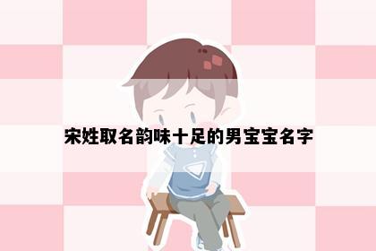 宋姓取名韵味十足的男宝宝名字