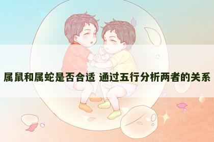 属鼠和属蛇是否合适 通过五行分析两者的关系